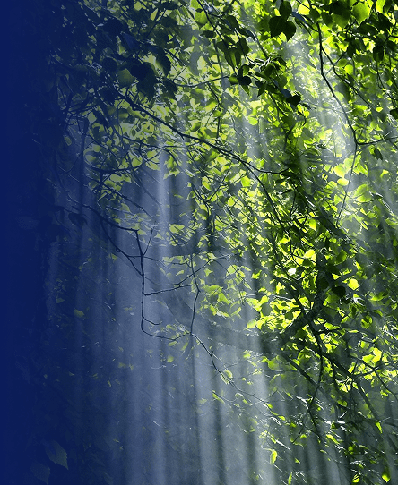 Sustainability Matters